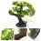 Resin Aquarium Tree Decor For Fish Tank 1set 9