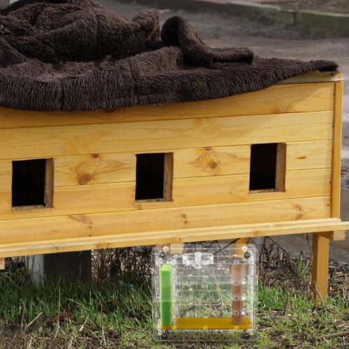 Boîte Fourmis Écologique 2