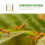 Boîte Fourmis Écologique 4