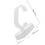 20Pcs White Plastic Watch Holder Bracelet Stand for Display 2