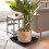 2pcs Black Planter Tray Square Drip Tray For Indoor Planting 5