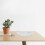 10Pcs Clear PP Plant Pot Saucers Practical Indoor Planter Trays 3