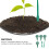 1 Set Succulent Transplanting Tool Nursery Dispenser With And 5