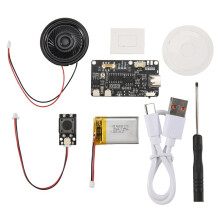 Recordable Sound Module with MP3 Download TYPE-C for Gift Box Christmas Birthday Card Music Cover Wall with Battery