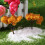 10Stk Simulation Landschaft Sukkulenten Garten Deko Gold 5