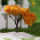 10Stk Simulation Landschaft Sukkulenten Garten Deko Gold 6