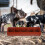 Pig Troughs Pig Manger Pp Rectangular 1set 7