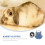 1Set Durable Red Pet Rabbit Clothes and Traction Rope Accessory 4