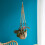 Solar Flower Pot Hanging Net Bag Fine Workmanship Plant Hanger 3
