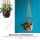 Solar Flower Pot Hanging Net Bag Fine Workmanship Plant Hanger 5