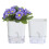 Vasos para Plantas Internos Vaso para Plantas AutoirrigáVeis de 4,25 Polegadas para Ambientes Internos, Vasos Violetas com ReservatóRio VisíVel 1
