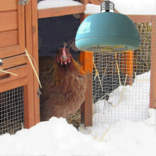 Hanging Chicken House Heater, Instant Hatchery Lamp Heater, Outdoor Pet Cage Heater, Electric Pet Shop Heaters - PP