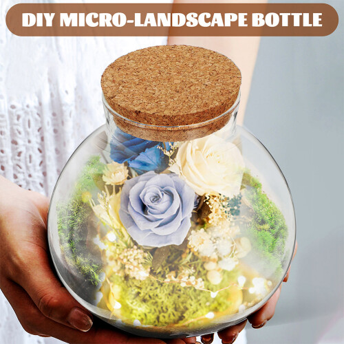 Mini Gewächshaus Terrarium Glasflasche Transparent 3 2