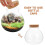 Mini Gewächshaus Terrarium Glasflasche Transparent 3 5