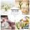Raindrops 10 Sitzhalter Memo Clips Tischfotorahmen 3