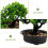 Gefälschter Bonsai Kiefernbaum Grüne 4