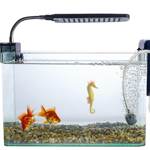 Décoration Hippocampe Artificiel Coloré Pour Aquarium 2