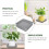 10Pièces Plateaux Étanches En ABS Pour Plantes Bonsai 4