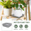10Pièces Plateaux Étanches En ABS Pour Plantes Bonsai 5