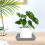 10Pièces Plateaux Étanches En ABS Pour Plantes Bonsai 9