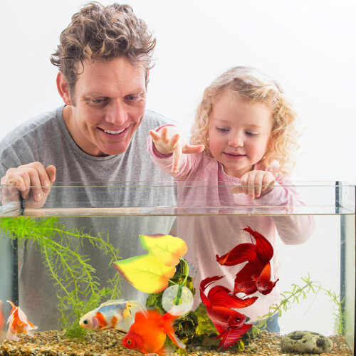 Silicone Betta Fish Leaf Rest Spot with Suction Cup Fish Decor 2