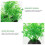 20Pièces Décorations Aquarium Plantes Vertes Entretien 3