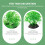 20Pièces Décorations Aquarium Plantes Vertes Entretien 6