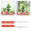 2Pièces Coupelles Rouges En Plastique Résistantes Pour Pots De Fleurs 5