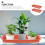 2Pièces Coupelles Rouges En Plastique Résistantes Pour Pots De Fleurs 6