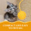2Pcs Stylish Yellow Paper Cat Scratch Balls Replacement for Cat Trees 4