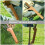 1St Draagbare Lederen Beschermhoes Voor Picknick 5
