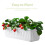 2Pièces À Plantes Plastique Pour Fleurs 4