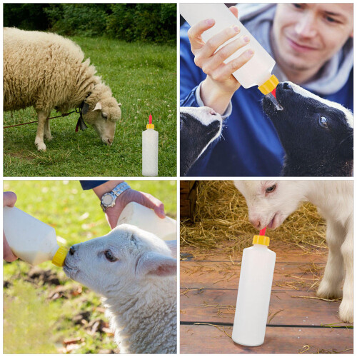 1Set Durable Calf Milk Bottle with Removable Pacifier for Lamb Feeding 2