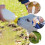 1Set Durable Calf Milk Bottle with Removable Pacifier for Lamb Feeding 8