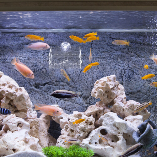 Acrylic Plant Holder For Aquarium Cup Shape 1pack 2