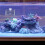 Acrylic Plant Holder For Aquarium Cup Shape 1pack 8