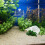 Acrylic Plant Holder For Aquarium Cup Shape 1pack 9