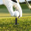 5Pièces Porte- De Golf En Silicone Noir Résistant 8