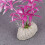 Duurzame Plastic Paars Aquarium Versiering Visornament 3