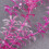 Duurzame Plastic Paars Aquarium Versiering Visornament 8