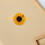 4Pz Fermatenda Girasole Magnetico in Tessuto Per 3
