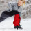 Ghette Antisabbia Rosse in Nylon Protettive Per Scarponi Outdoor 3