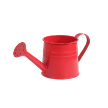 Metal Watering Can with Ergonomic Handle and Extra Long Spout for Precise Root Watering Indoor Outdoor