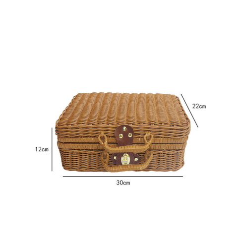 1Pièces Conteneur Plastique Coffret Photo Accessoire 1