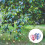 2Pièces Décor Vent Rotatif Jardin ABS Anti- 3