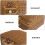 1Pièces Conteneur Plastique Coffret Photo Accessoire 3