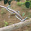 40Pcs Heavy-Duty Spreaders Adjustable Tree Limb Bender 7