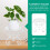 Support Plante Fer Pour Pot Décor Jardin 3