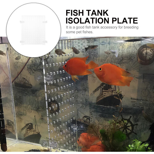 Diviseur Aquarium Isolation Transparent Simple 2