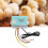 Incubator Controller Thermostat 100W, 1m Probe 16